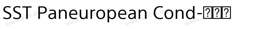 SST Paneuropean Cond字体转换